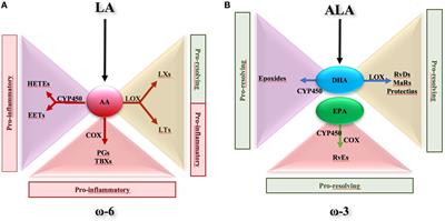 Actors and Factors in the Resolution of Intestinal Inflammation: Lipid Mediators As a New Approach to Therapy in Inflammatory Bowel Diseases